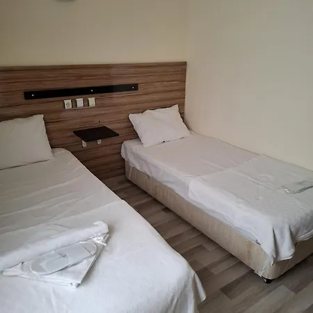 Hotel Lion