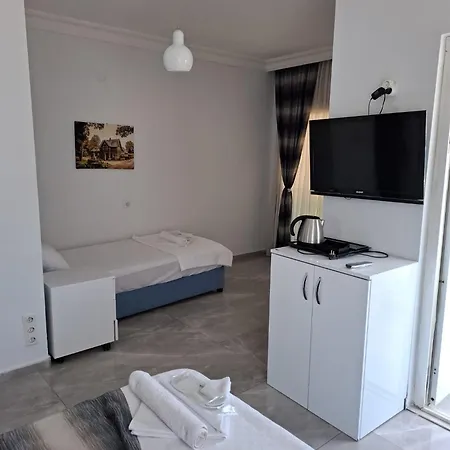 Lion Didim