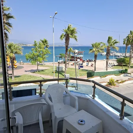 Lion Didim